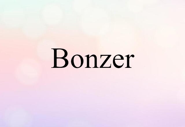 bonzer