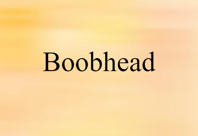 Boobhead (noun) Definition, Meaning & Examples