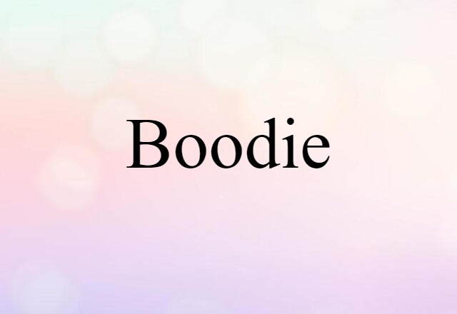 Boodie (noun) Definition, Meaning & Examples