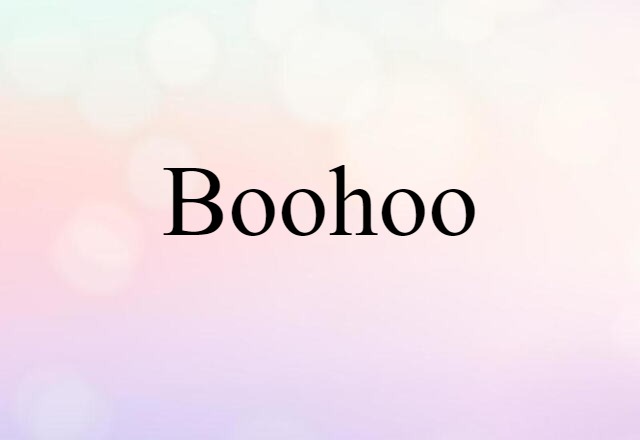 Boohoo (noun) Definition, Meaning & Examples