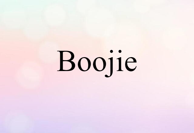 Boojie (noun) Definition, Meaning & Examples