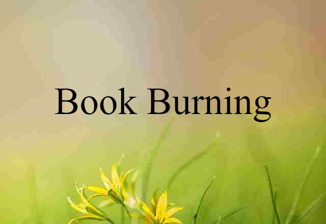 Book Burning (noun) Definition, Meaning & Examples