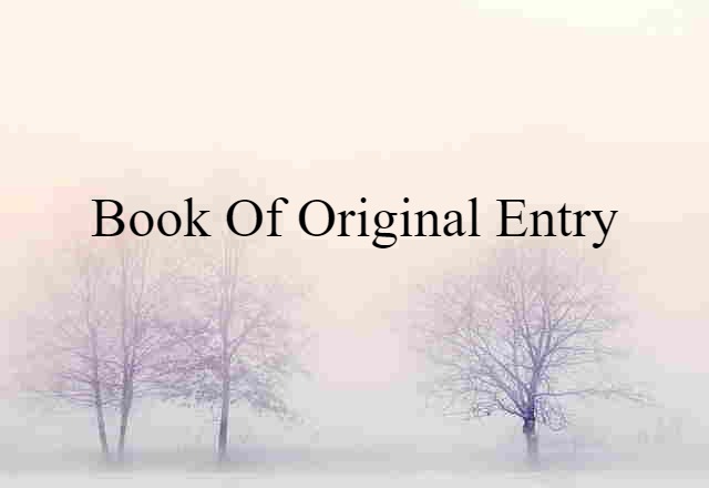 Book Of Original Entry (noun) Definition, Meaning & Examples