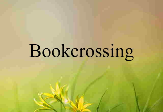 Bookcrossing (noun) Definition, Meaning & Examples