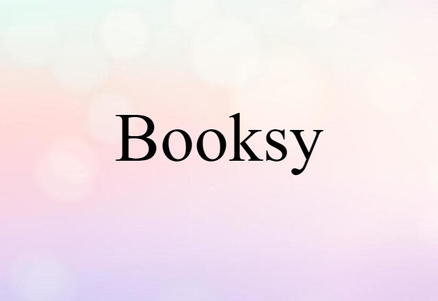 Booksy (noun) Definition, Meaning & Examples