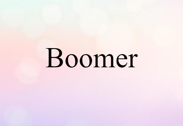 Boomer (noun) Definition, Meaning & Examples