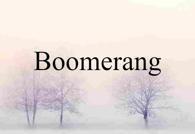 Boomerang (noun) Definition, Meaning & Examples