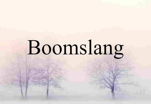 Boomslang (noun) Definition, Meaning & Examples