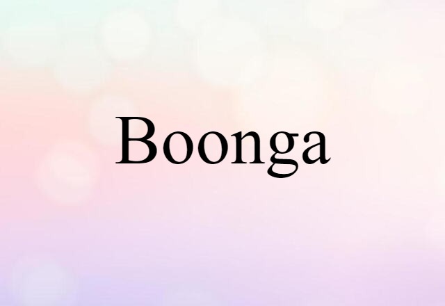 Boonga (noun) Definition, Meaning & Examples