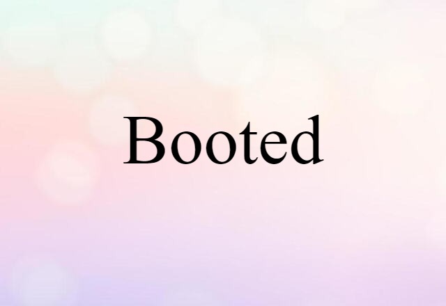 Booted (noun) Definition, Meaning & Examples