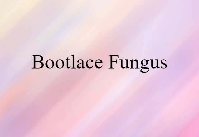 Bootlace Fungus (noun) Definition, Meaning & Examples