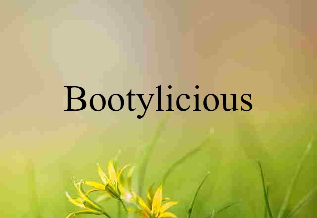 Bootylicious (noun) Definition, Meaning & Examples