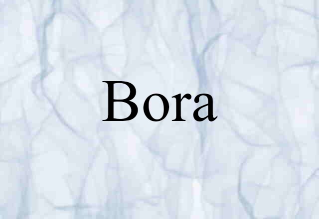 Bora (noun) Definition, Meaning & Examples