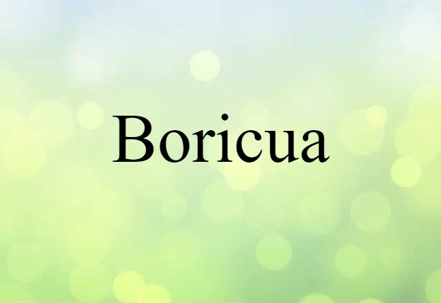 Boricua (noun) Definition, Meaning & Examples