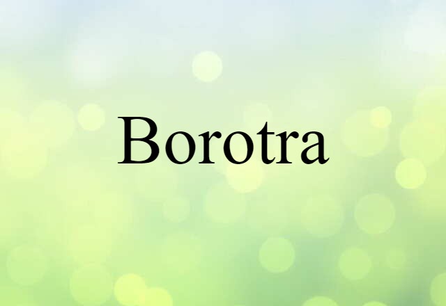 Borotra (noun) Definition, Meaning & Examples