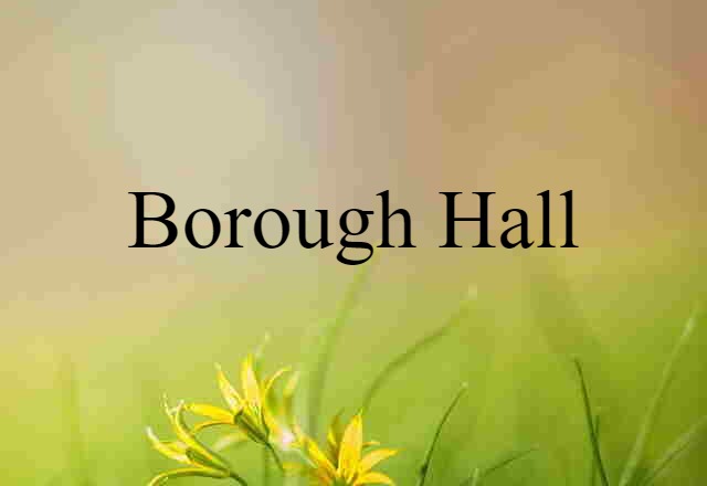 Borough Hall (noun) Definition, Meaning & Examples