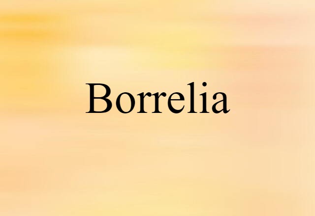 borrelia