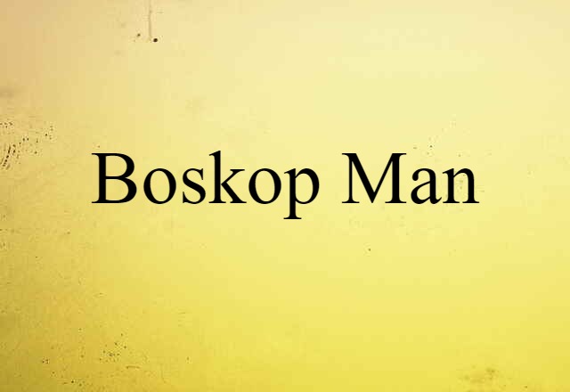 Boskop Man (noun) Definition, Meaning & Examples