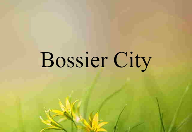 Bossier City (noun) Definition, Meaning & Examples