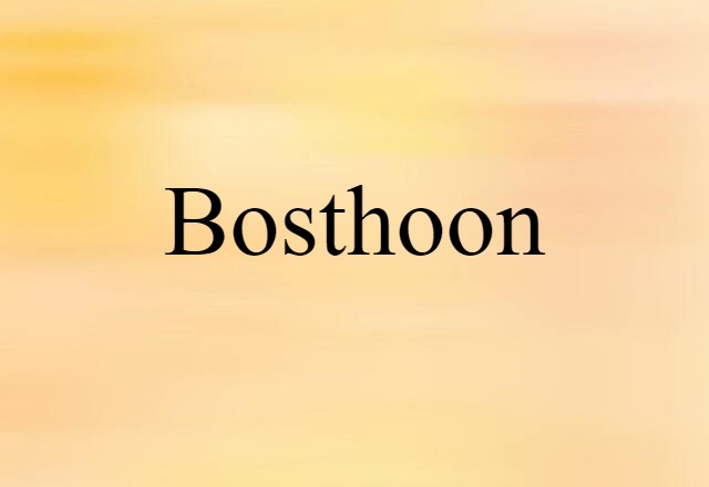 Bosthoon (noun) Definition, Meaning & Examples