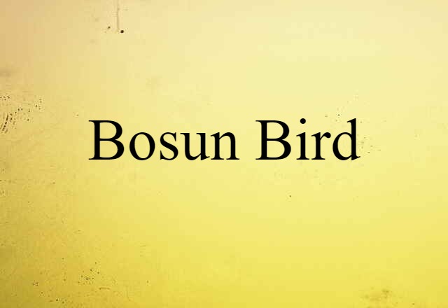 Bosun Bird (noun) Definition, Meaning & Examples