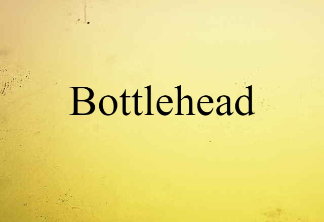 Bottlehead (noun) Definition, Meaning & Examples