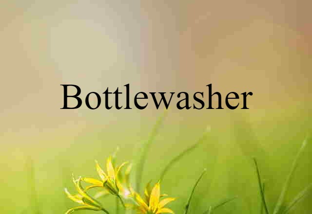 bottlewasher