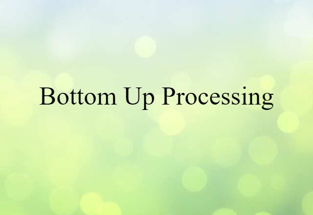 Bottom-up Processing (noun) Definition, Meaning & Examples