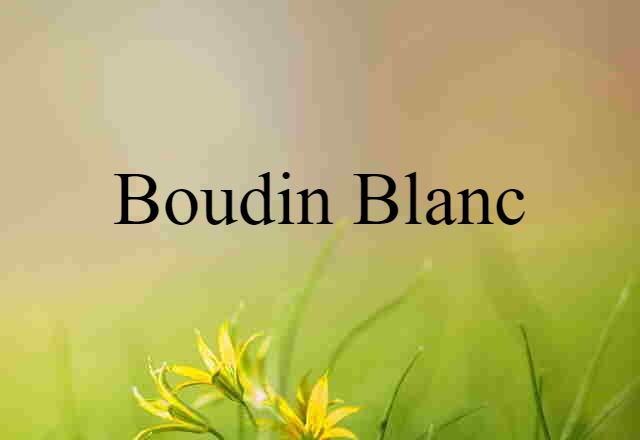 Boudin Blanc (noun) Definition, Meaning & Examples