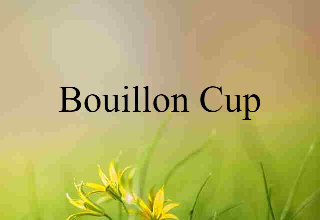 Bouillon Cup (noun) Definition, Meaning & Examples