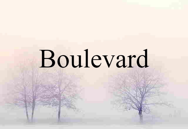 Boulevard (noun) Definition, Meaning & Examples