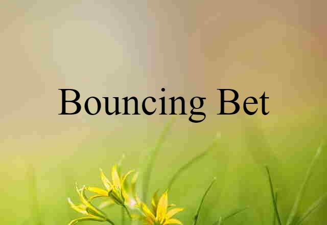 bouncing Bet