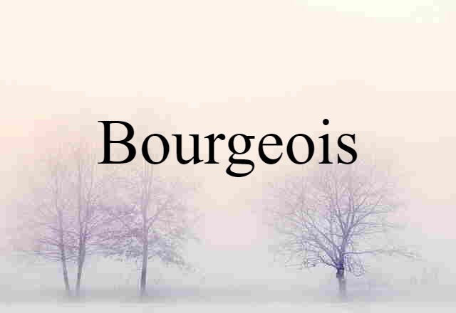 Bourgeois (noun) Definition, Meaning & Examples