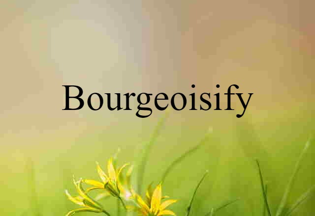 Bourgeoisify (noun) Definition, Meaning & Examples