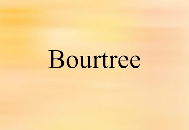 Bourtree (noun) Definition, Meaning & Examples