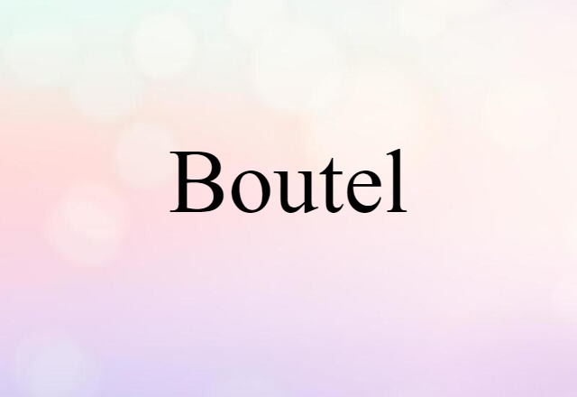 Boutel (noun) Definition, Meaning & Examples