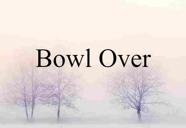 Bowl Over (noun) Definition, Meaning & Examples