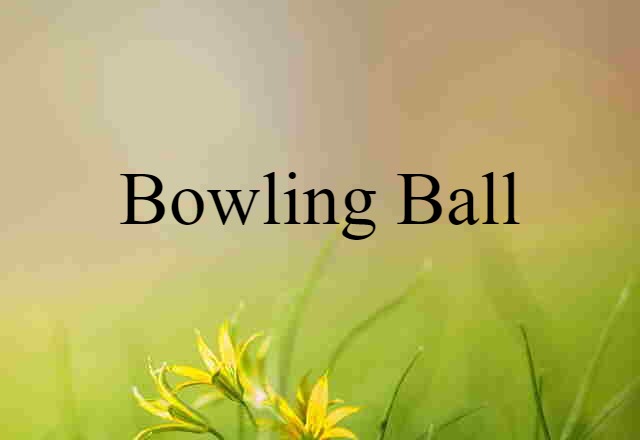 Bowling Ball (noun) Definition, Meaning & Examples