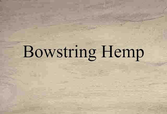 bowstring hemp