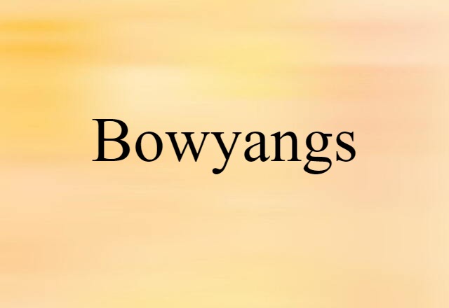 Bowyangs (noun) Definition, Meaning & Examples