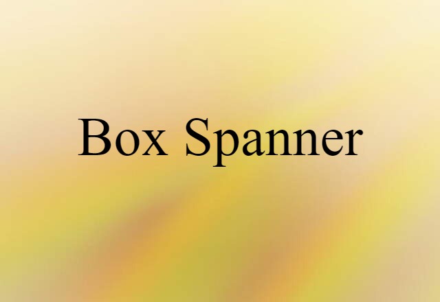 Box Spanner (noun) Definition, Meaning & Examples