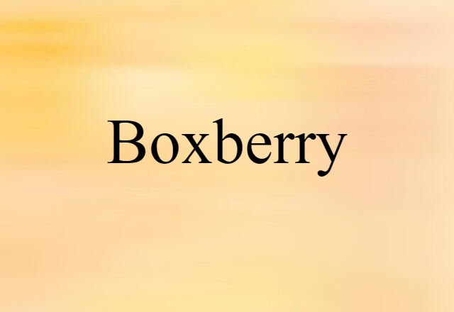 Boxberry (noun) Definition, Meaning & Examples