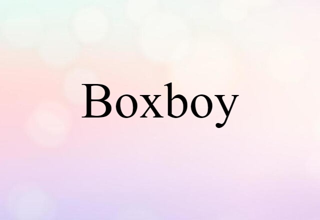 Boxboy (noun) Definition, Meaning & Examples