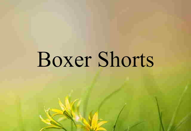 boxer shorts