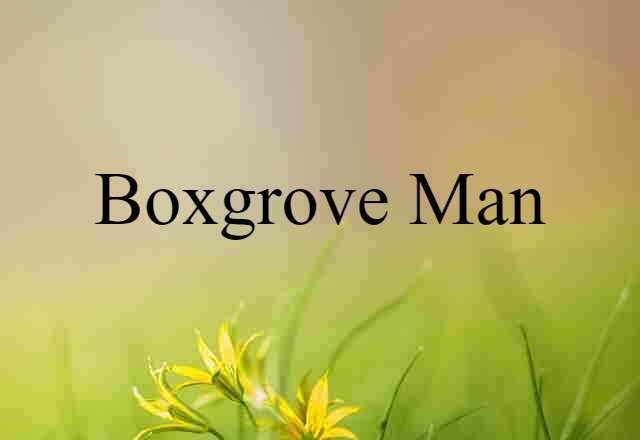 Boxgrove man