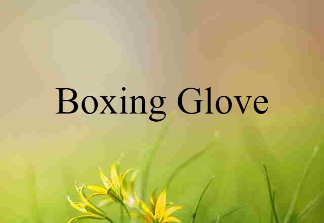 boxing glove