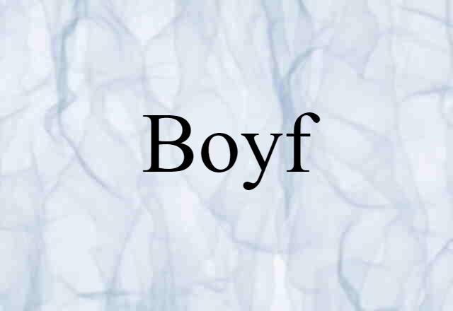 Boyf (noun) Definition, Meaning & Examples