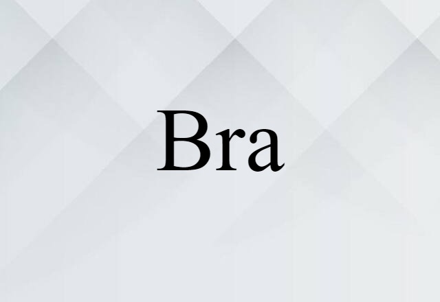 Bra (noun) Definition, Meaning & Examples