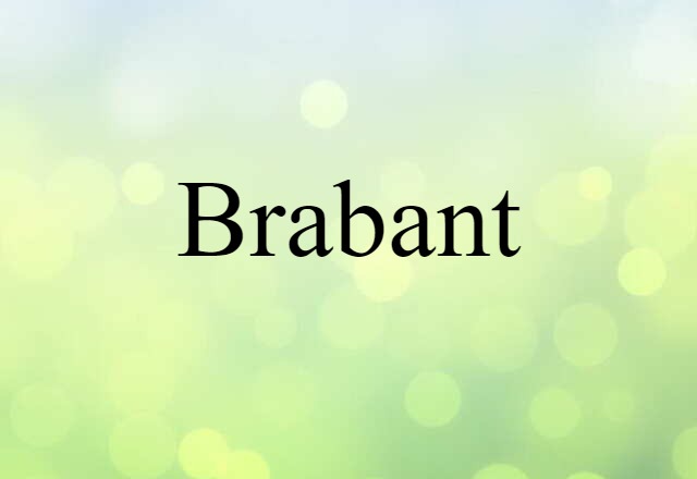 Brabant (noun) Definition, Meaning & Examples