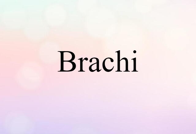 brachi